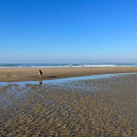 Apartman Lumineux Avec Loggia, A 50m De La Plage, Parking Prive, Proche Commerces Et Restaurants - Fr-1-306-1236