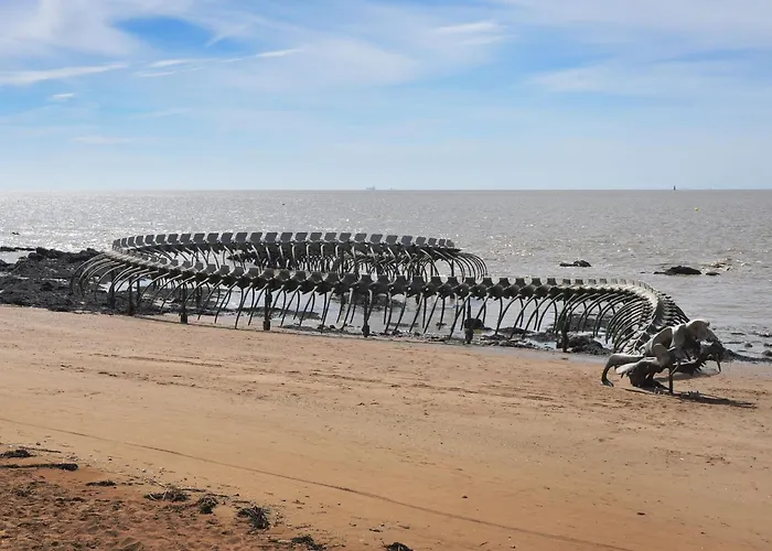 Lumineux Avec Loggia, A 50m De La Plage, Parking Prive, Proche Commerces Et Restaurants - Fr-1-306-1236 * סן-ברבן-לה-פן