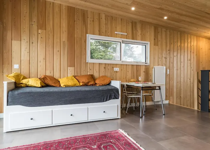 Lumineux Avec Loggia, A 50m De La Plage, Parking Prive, Proche Commerces Et Restaurants - Fr-1-306-1236 *