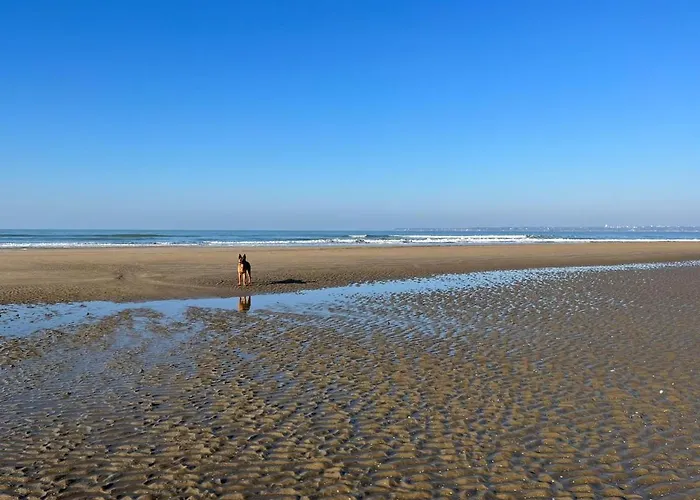 شقة Lumineux Avec Loggia, A 50m De La Plage, Parking Prive, Proche Commerces Et Restaurants - Fr-1-306-1236